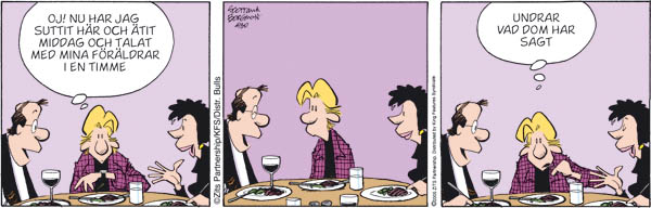 Dagens zits